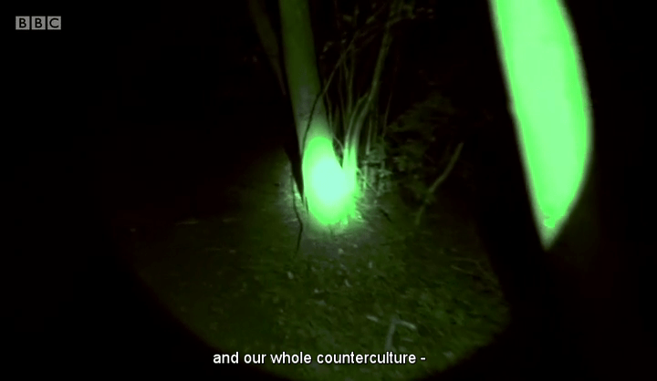 vlcsnap-2016-11-12-19h30m07s582