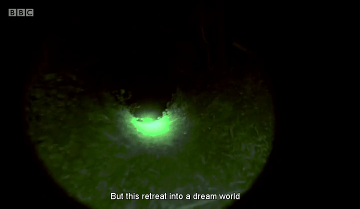 vlcsnap-2016-11-12-19h30m52s712